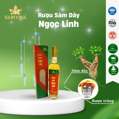 Rượu Sâm Dây Ngọc Linh - Đẳng Sâm