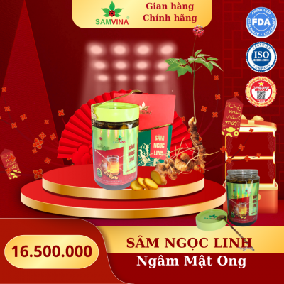 SÂM NGỌC LINH MẬT ONG