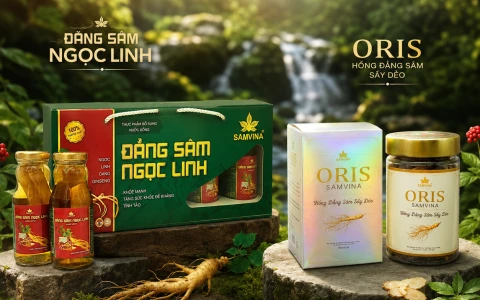 SÂM VINA | KHI SỰ QUAN TẤM BIẾN THÀNH QUÀ TẶNG 