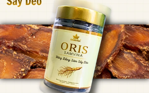 HỒNG ĐẲNG SÂM SẤY DẺO SÂM VINA – KHÁI NIỆM MỚI VỀ 