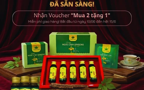 Gửi Trao An Lành: Kích Hoạt Suất Trải Nghiệm Xanh Từ Sâm VINA