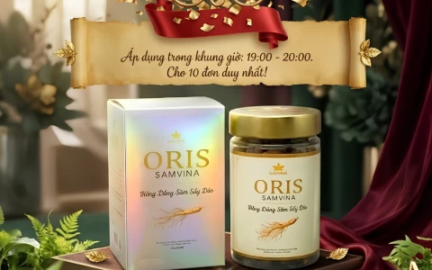 [VOUCHER ĐẶC QUYỀN 06/06] Mua 2 Tặng 1 Hồng Đẳng Sâm Sấy Dẻo SÂMVINA