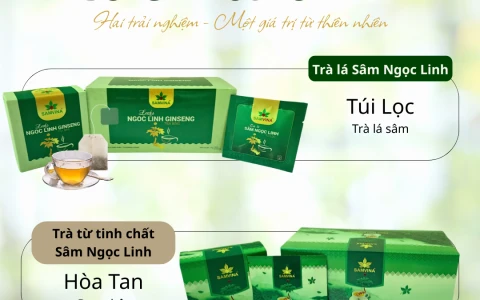Trà Lá Sâm Ngọc Linh và Trà Hòa Tan Sâm Ngọc Linh Sâm VINA  – Hai trải nghiệm khác nhau từ Sâm Ngọc Linh