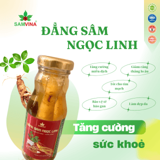 Đẳng Sâm Ngọc Linh Ngâm Mật Ong. Hình ảnh: Sâm VINA