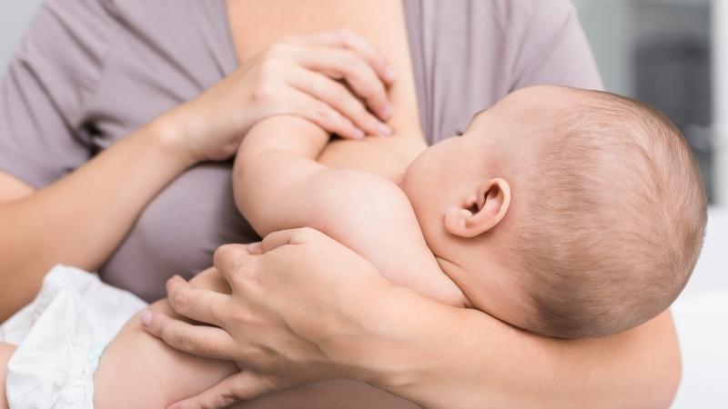 Đảng sâm rất tốt cho phụ nữ sau sinh do giúp kích thích bài tiết sữa và điều hòa kinh nguyệt sau sinh