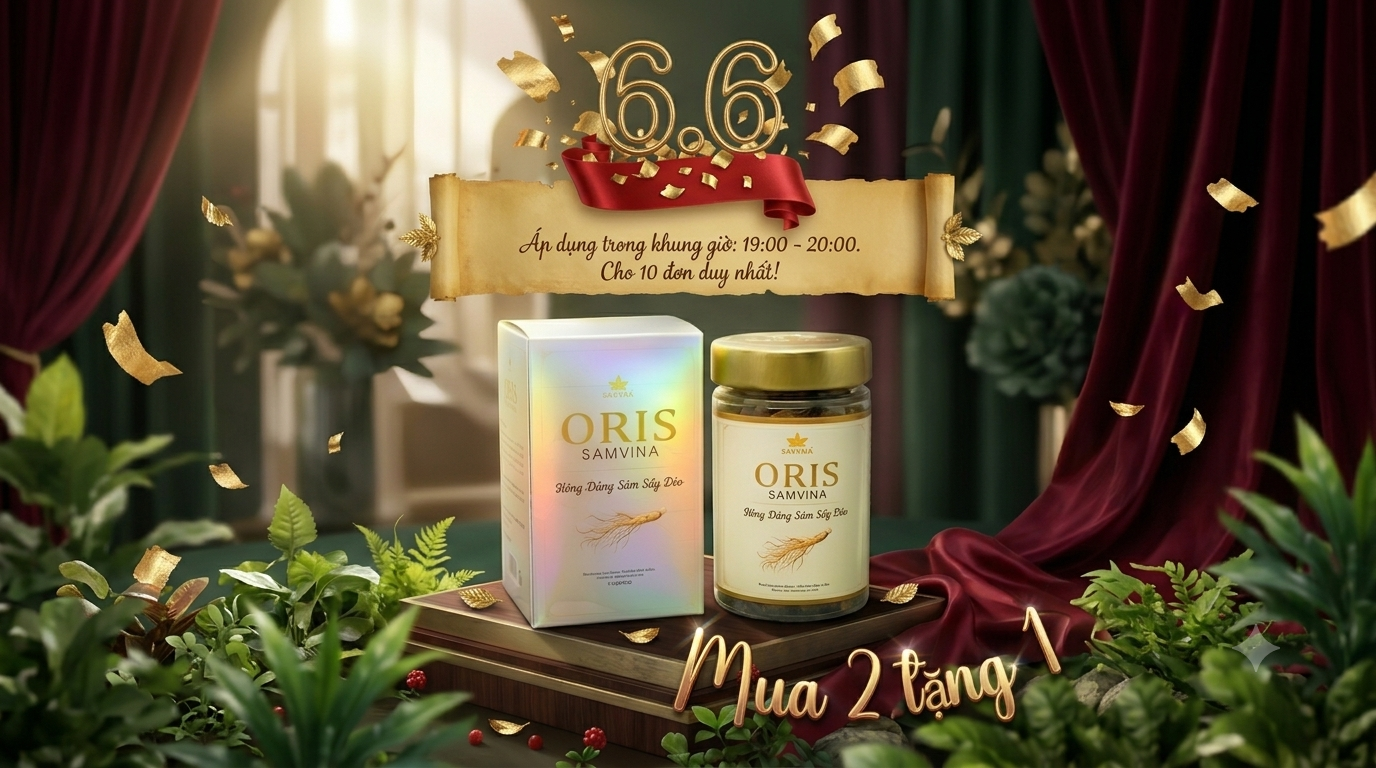 [VOUCHER ĐẶC QUYỀN 06/06] Mua 2 Tặng 1 Hồng Đẳng Sâm Sấy Dẻo SÂMVINA
