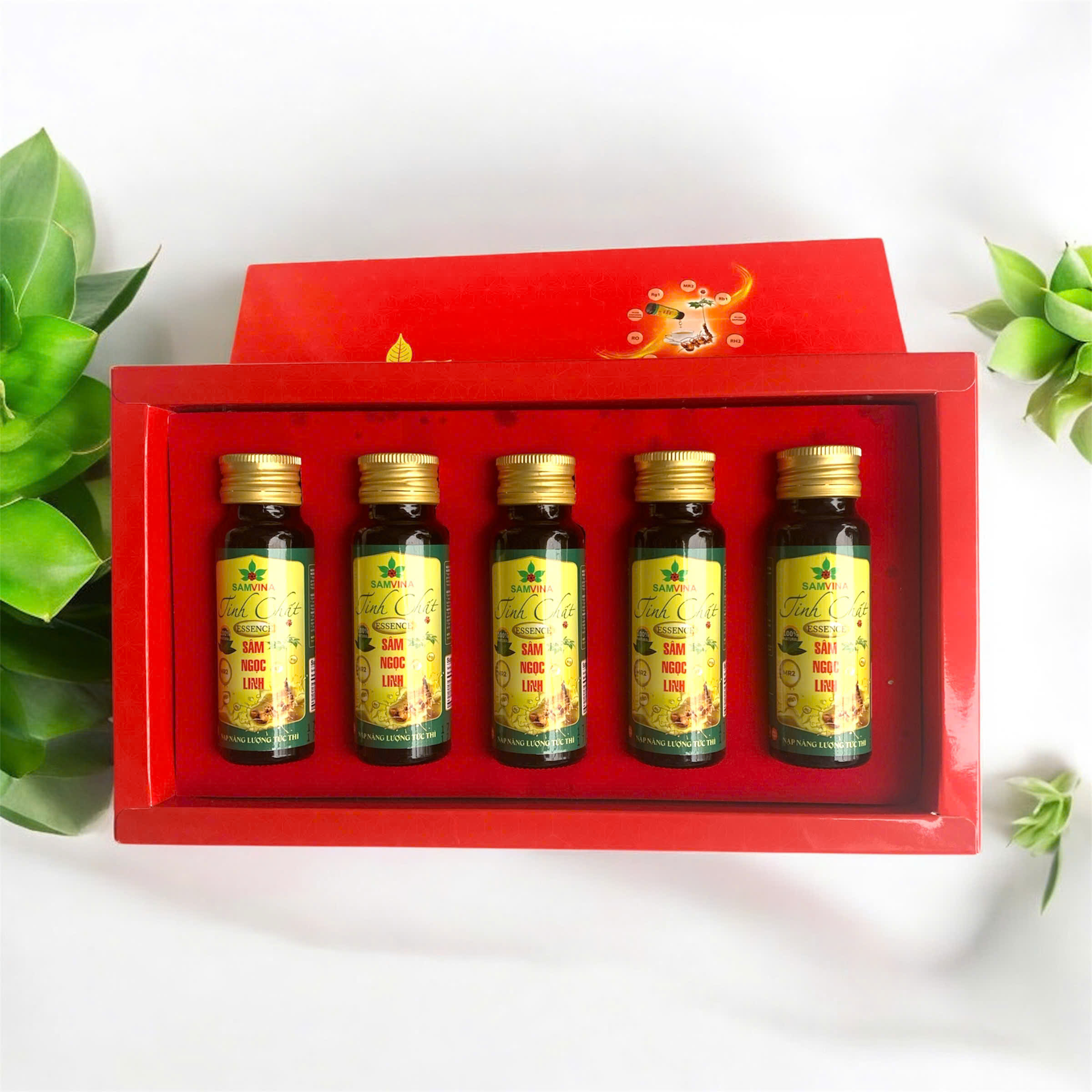 Tinh Chất Sâm Ngọc Linh